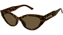 BB0306S 002 Havana Brown