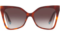 Fendi Way Brown Geometric Sunglasses