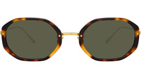 Tayler C2 Tortoiseshell