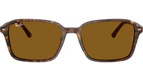 Raimond RB2231 141833 Brown