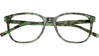 DG 3426 3439 Havana Green