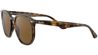 RB4306 710/83 light havana