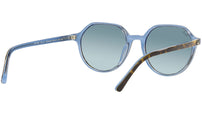 Thalia RB2195 13163M havana on light blue