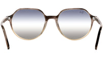 Thalia RB2195 1327GF gradient brown havana