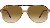 Bill RB2198 129251 havana on transparent brown