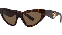 DG 4439 502/73 Tortoise Brown