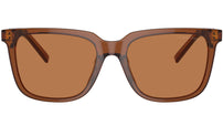 AR 8202U 604973 Brown