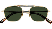 Gafilta Sun Gold Tortoise