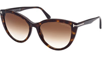 Isabella-02 FT0915 52F Dark Havana Brown