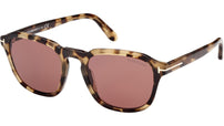 Avery FT0931 56S Tortoise Brown