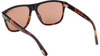 Frances FT1081 05E Black Havana Brown