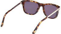 Sinatra FT1104 52E Havana Brown