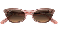 Miss Burbank RJ9099S 71062Q brown gradient rose