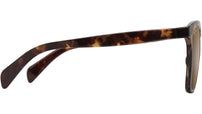 Liquid Sunshine H601 10 Tokyo Tortoise