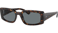 Kiliane RB4395 135971 Tortoise